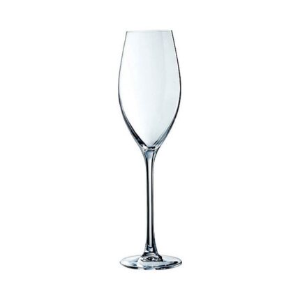 Grand Cepages Champagne Flute 8oz