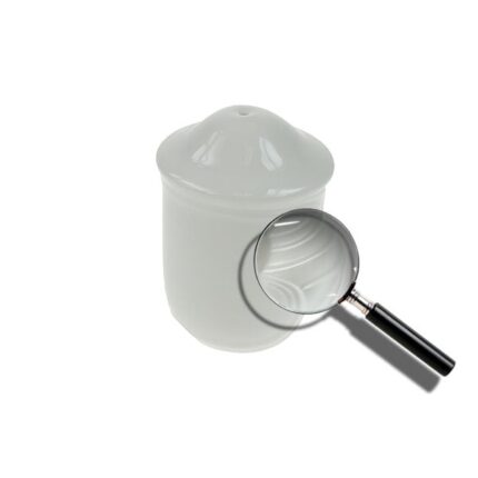 Royal Doulton Salt Pot