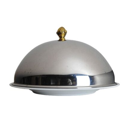 Stainless Steel Cloche